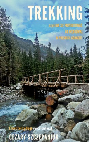 Pobierz darmowy e-book