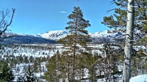 Anderdalen Nasjonalpark, Senja, Norwegia