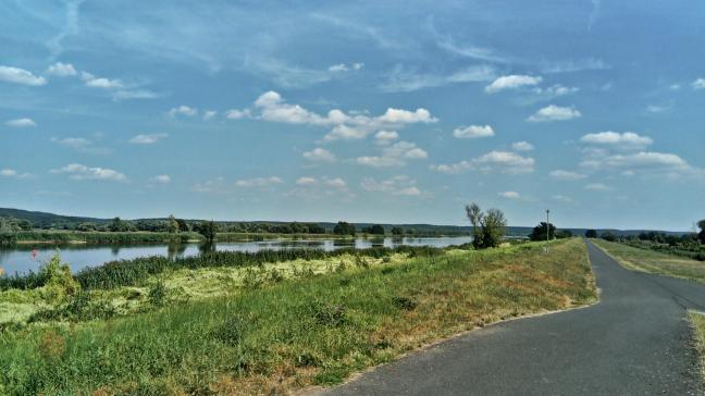 trasa rowerowa nad Odrą