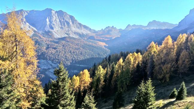 jesień w Dolomiti di Brenta, Italy