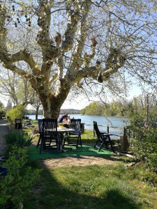 Wielkanocny obiadek nad Renem