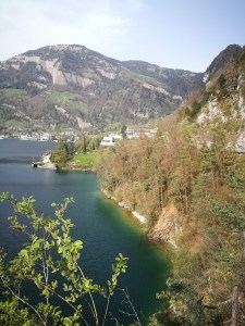 jezioro Czterech Kantonów - północny brzeg