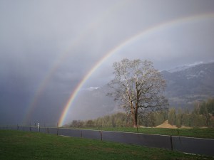 wzdłuż jeziora Thun