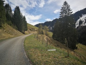 trasa "4ka" z Montbovon do Aigle, początek