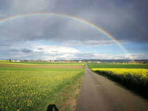 tęcza nad polami kantonu Vaud
