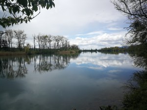 rzeka Aere przed Solurą