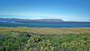 Olfusa - zatoka na południu kraju