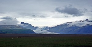 pola przed lodowcem Vatnajökull