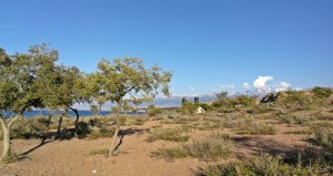 jezioro Issyk Kul o poranku