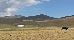 powrót znad jeziora Song kol