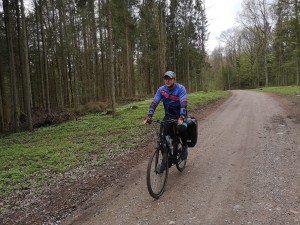 w puszczy Romnickiej