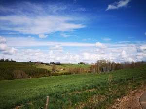 chmurki jak zwykle dopisują