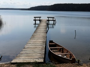 wschodni brzeg jeziora Wigry