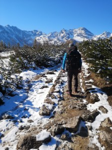 na Hali Gąsienicowej