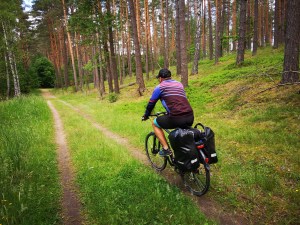 przez mazurskie lasy