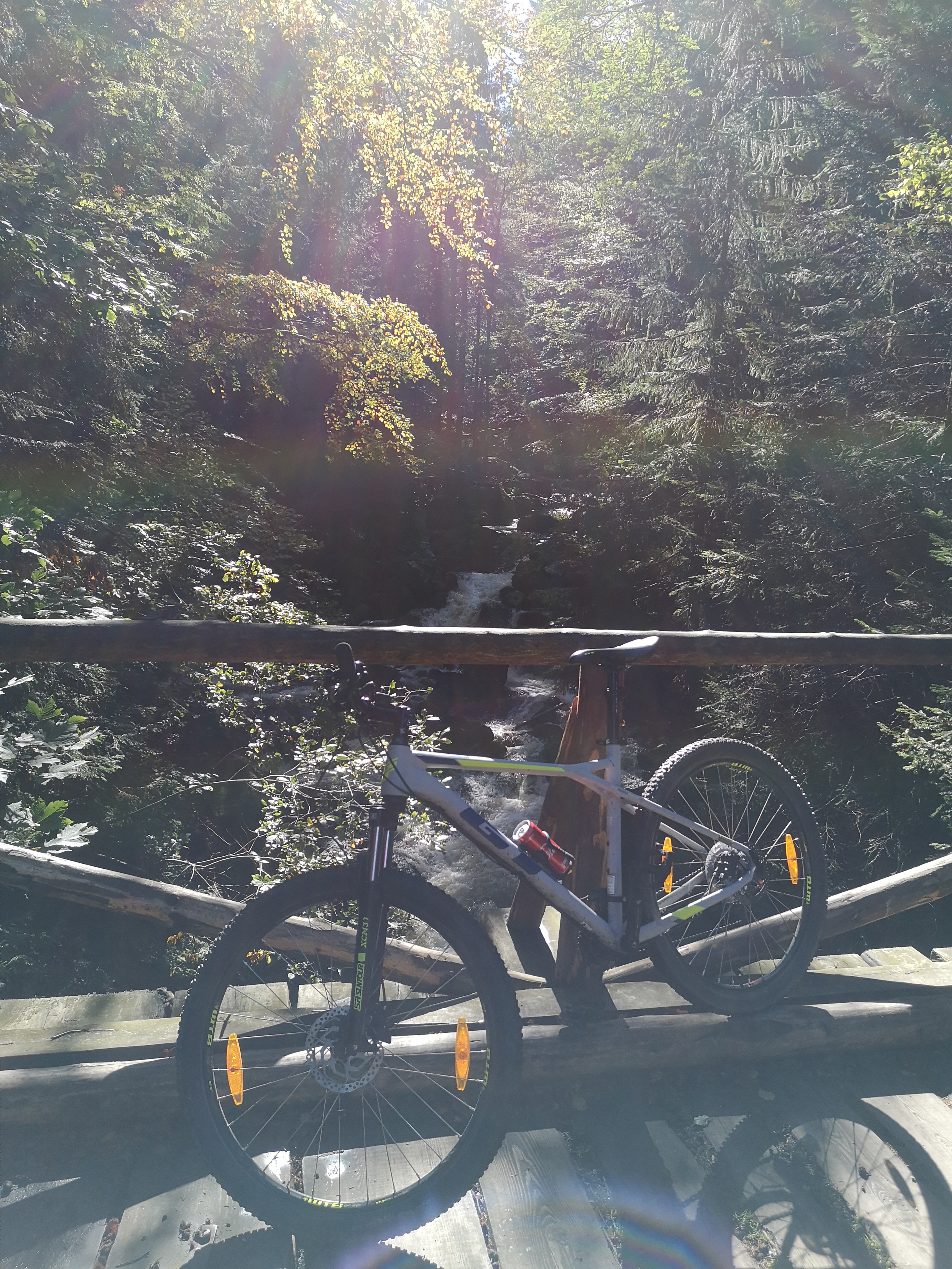 w lesie ponad Kowarami