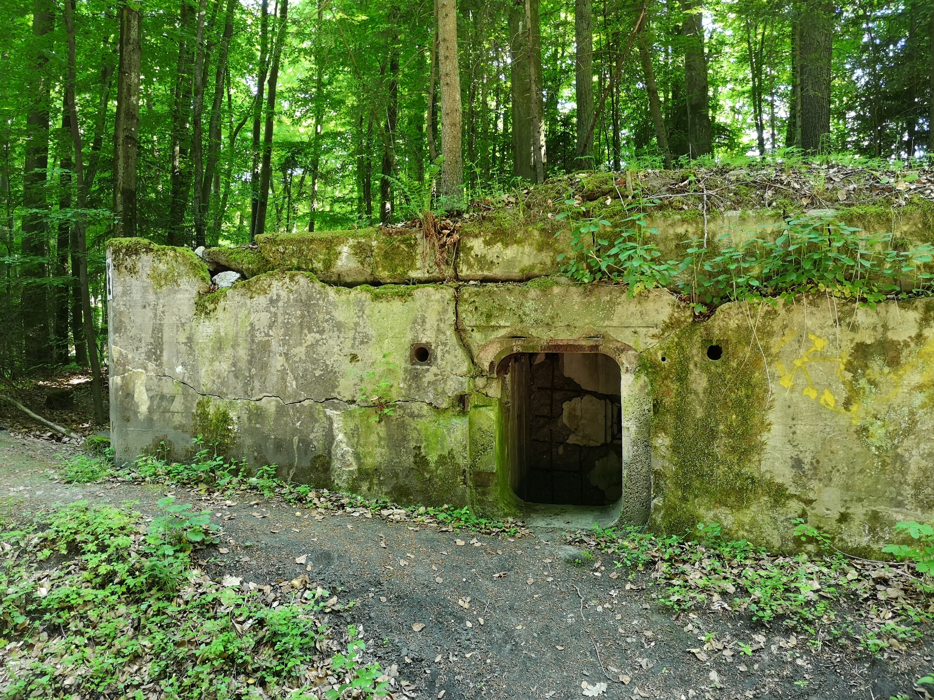 bunkry w lesie w drodze do Szczecinka
