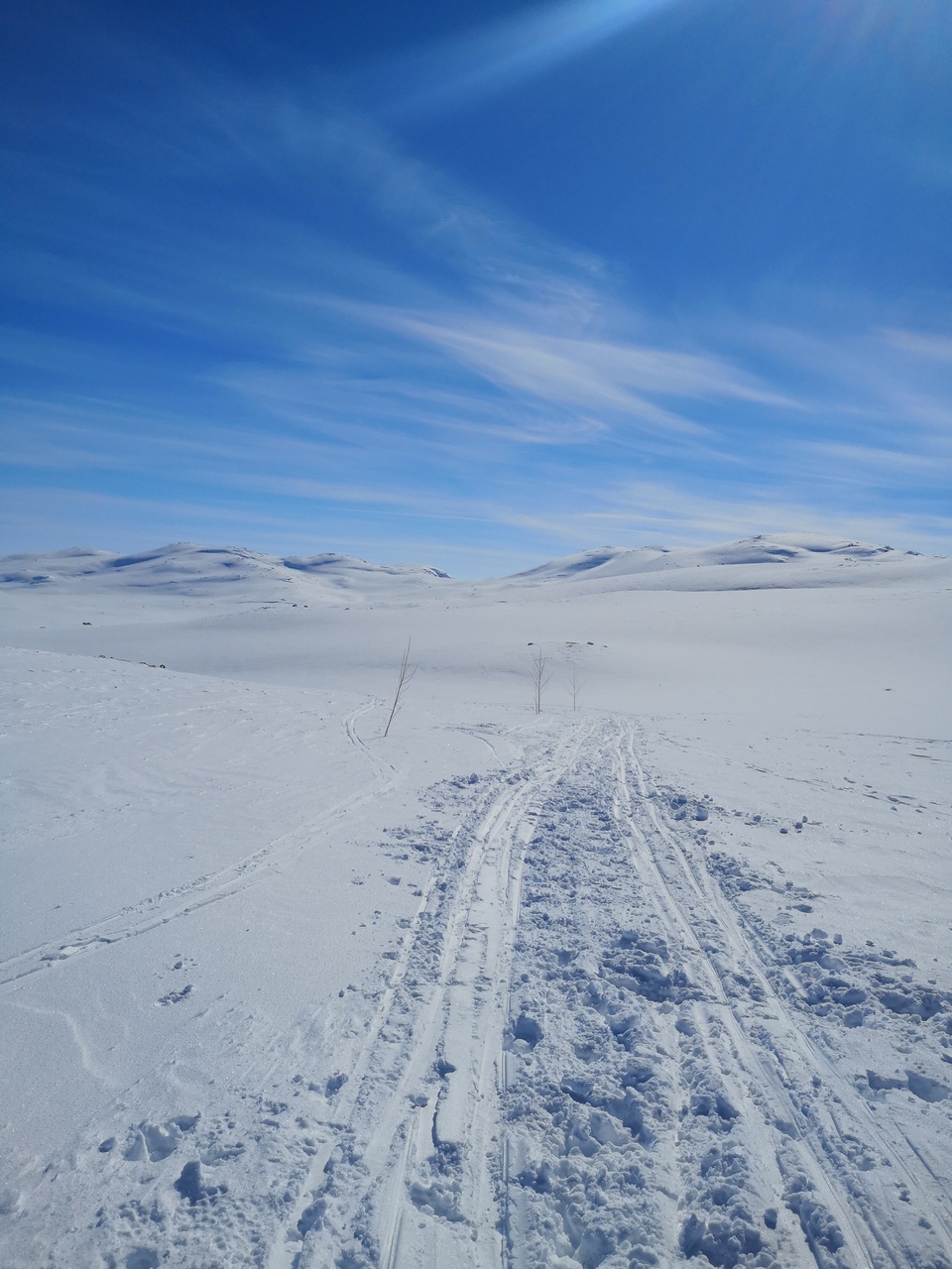 Hardangervidda