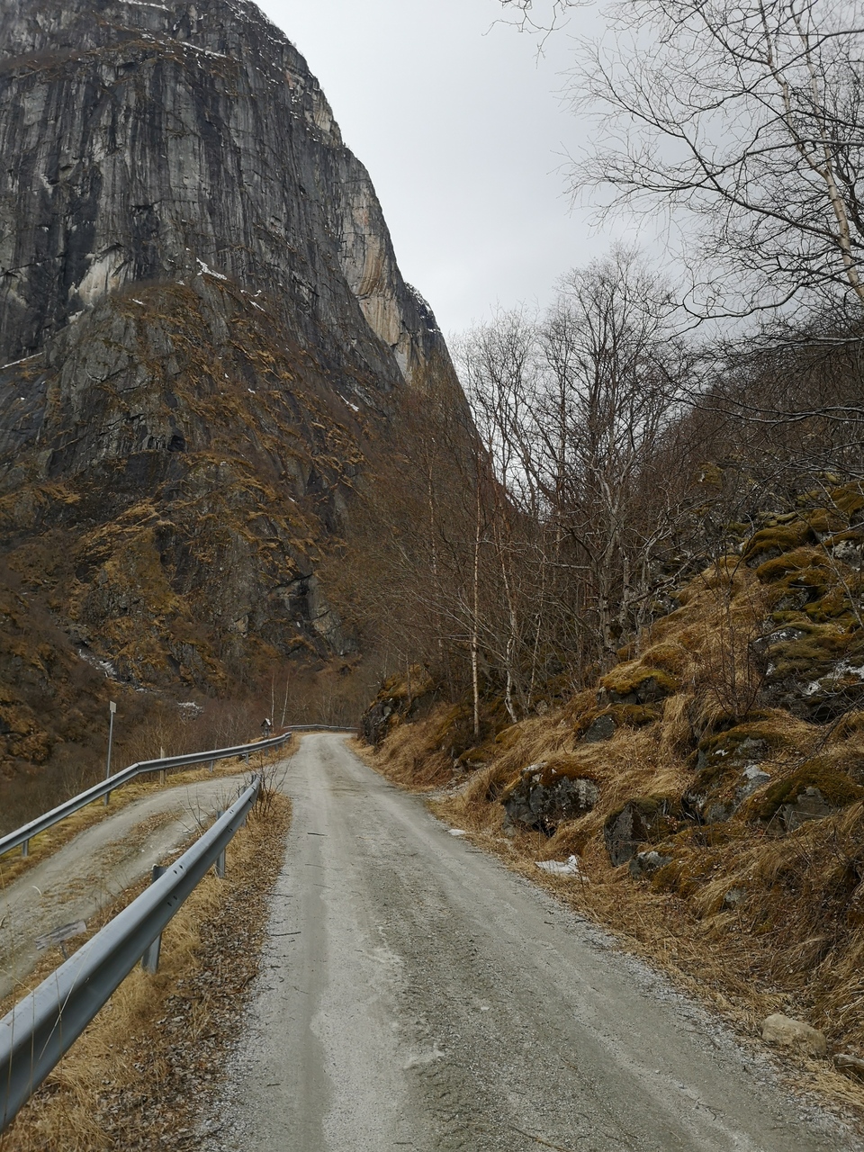 wiosna w dolinie (Muminków?)