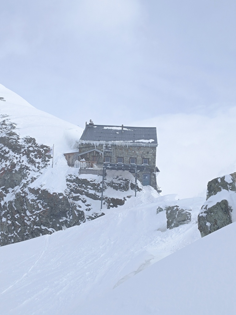 orle gniazdo schronisko Vignettes